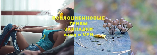 тгк Алзамай